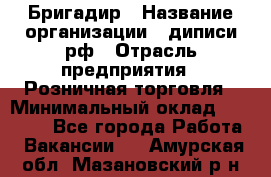 Бригадир › Название организации ­ диписи.рф › Отрасль предприятия ­ Розничная торговля › Минимальный оклад ­ 35 000 - Все города Работа » Вакансии   . Амурская обл.,Мазановский р-н